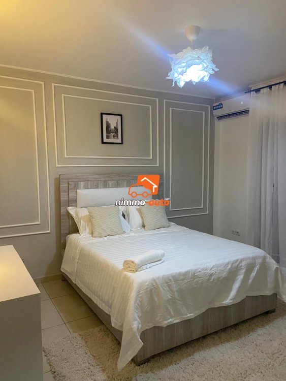 magnifique appartement meublé situé bonapriso