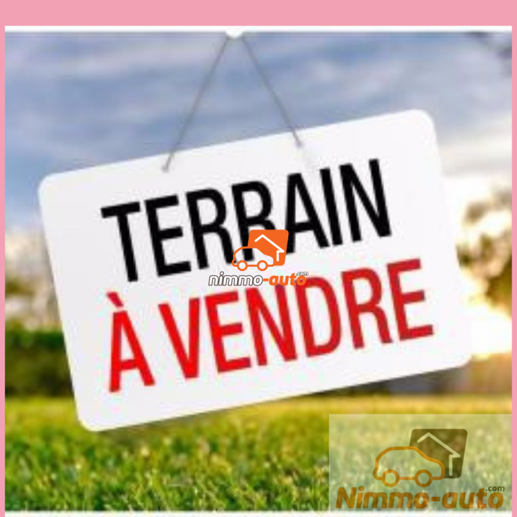 Terrain à vendre Olembe camp sic