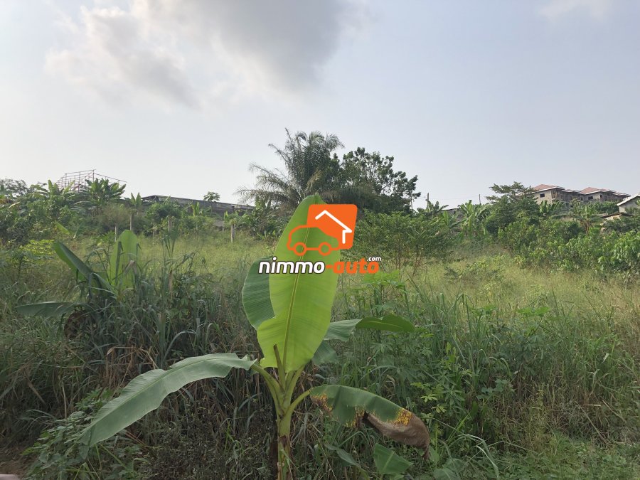 Terrain à vendre à Lendi