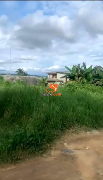 magnifique terrain à vendre à pk13