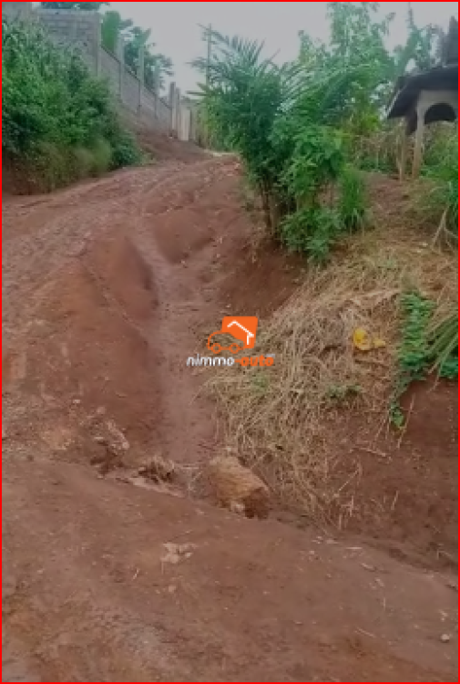 TERRAIN A VENDRE A NKOZOA