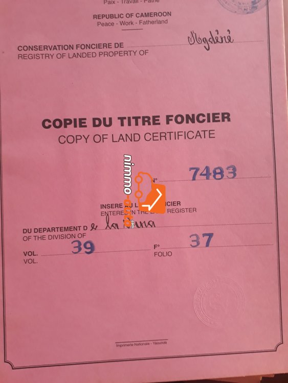 Lotissement à BEKA Ngaoundere