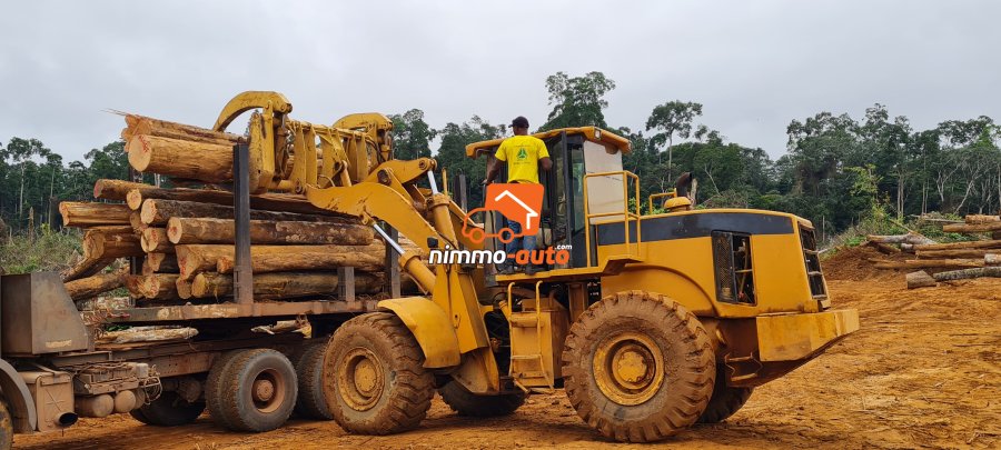 PELLE CHARGEUSE LIUGONG 856 CAT 966