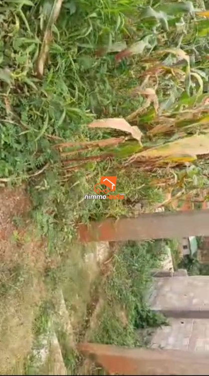 terrain d'habitation