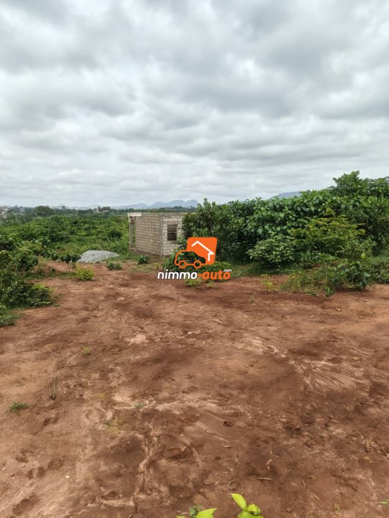 terrain a vendre titré à chapelle nkoabang