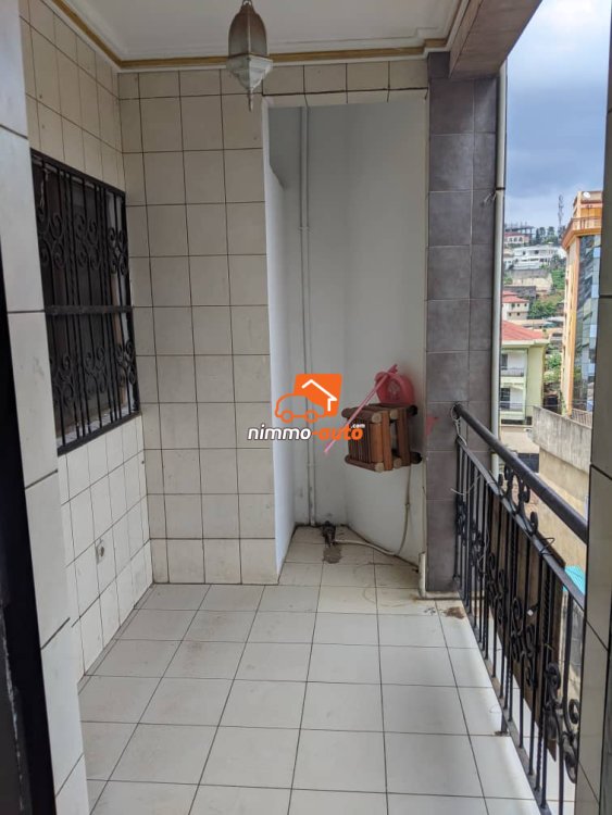 vaste appartement  3 chambres à louer à bastos