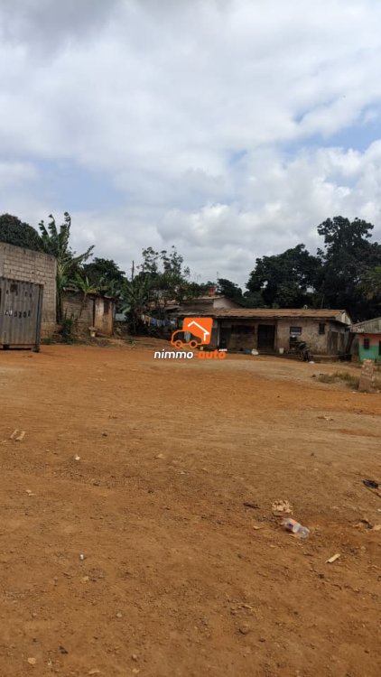 terrain a vendre a efoulan