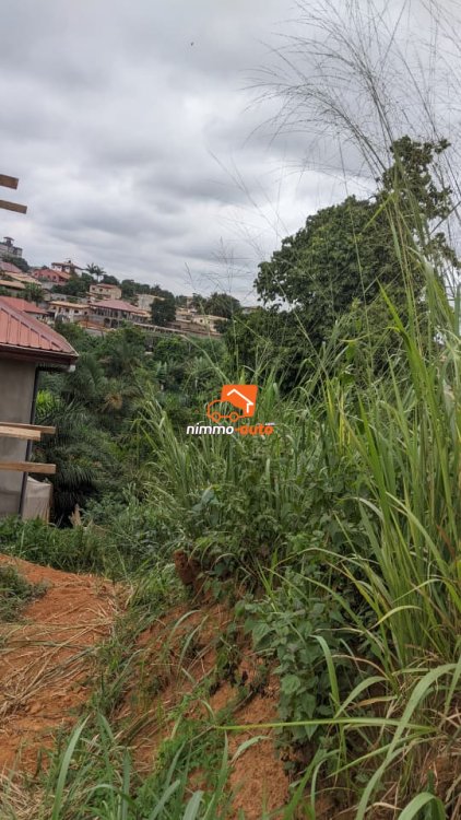 terrain à vendre à odza