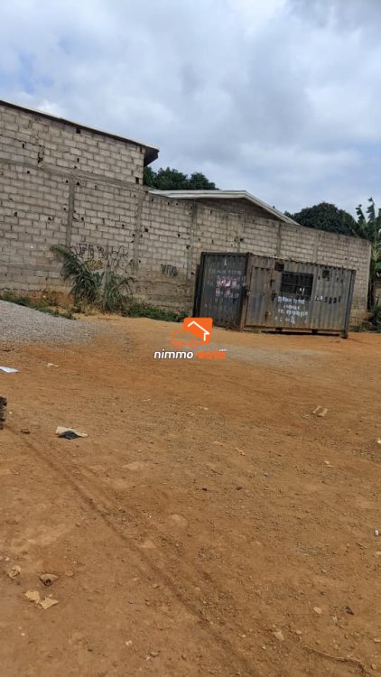 terrain a vendre a efoulan