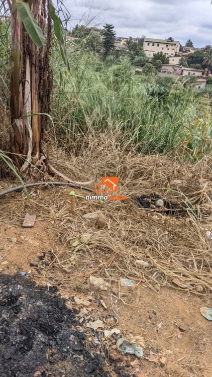 terrain à vendre à odza