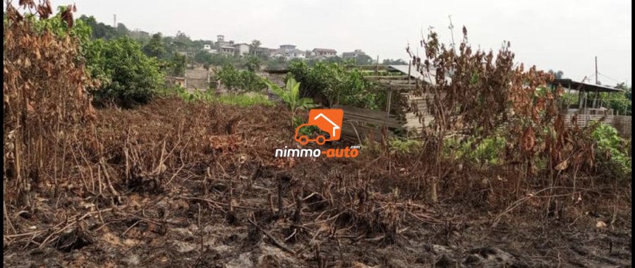 Terrain à vendre à Logbessou