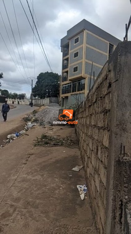 terrain a vendre maison blanche