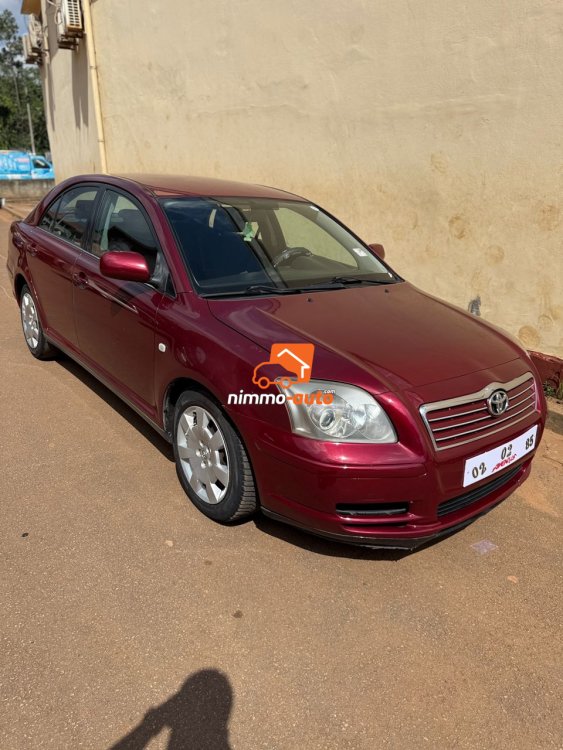 toyota avensis tete de cochon