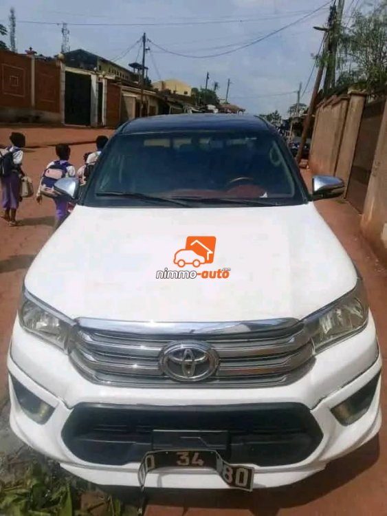 Pick-up révolution 2020