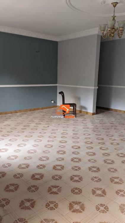 appartement moderne à louer