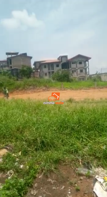 Terrain bien placé à louer à Bangue (Douala)