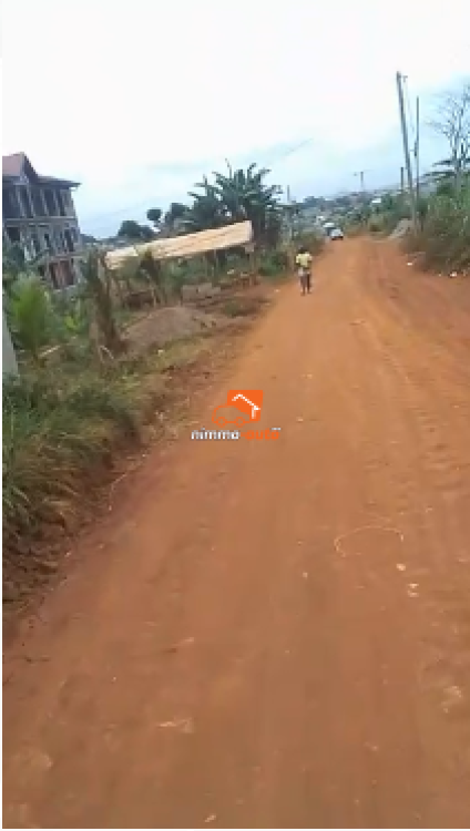 Terrain à vendre NKOZOA