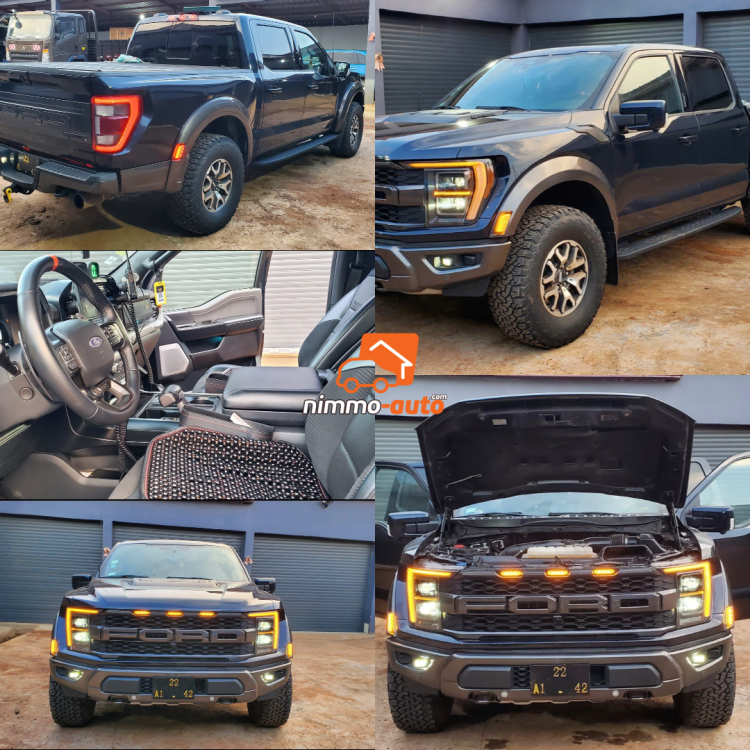 Ford Rapport