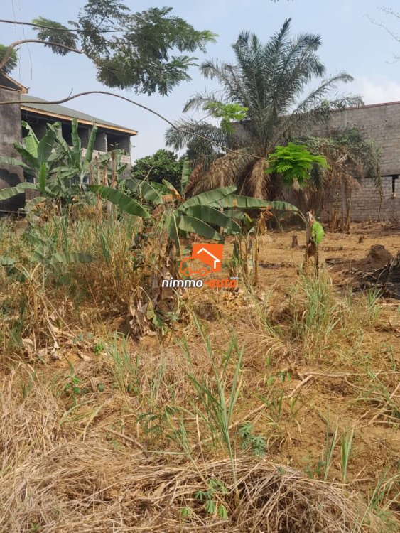 Terrain titré à vendre a mbalgon