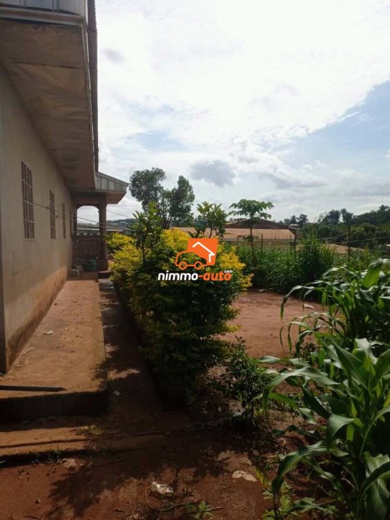 Maison a vendre à nkoabang au niveau de bocom
