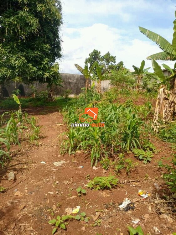 Maison a vendre à nkoabang au niveau de bocom
