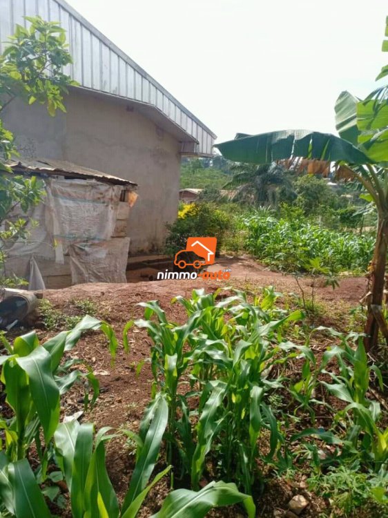 Maison a vendre à nkoabang au niveau de bocom