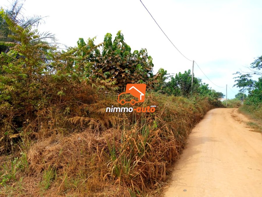 Terrain titré de plusieurs lots de 500m2 a vendre a eloumden2 pres de l'orphelinat de roger milla