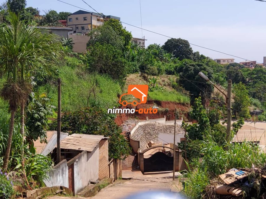 Terrain à vendre a ngousso derriere santa lucia