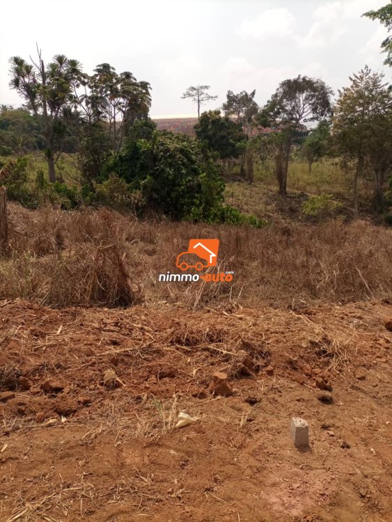 Terrain à vendre a olembe avec vue sur le stade