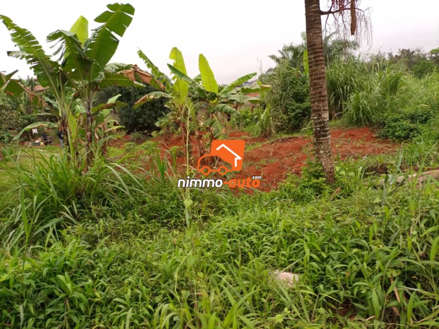 Terrain à vendre à Damas Petit génie