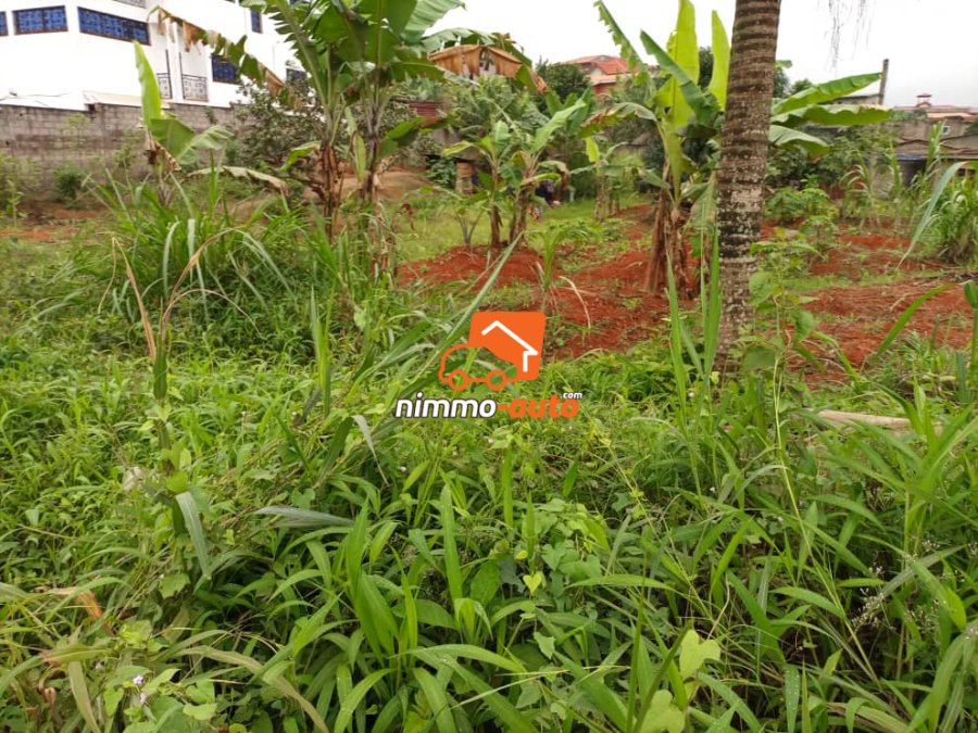 Terrain à vendre à Damas Petit génie