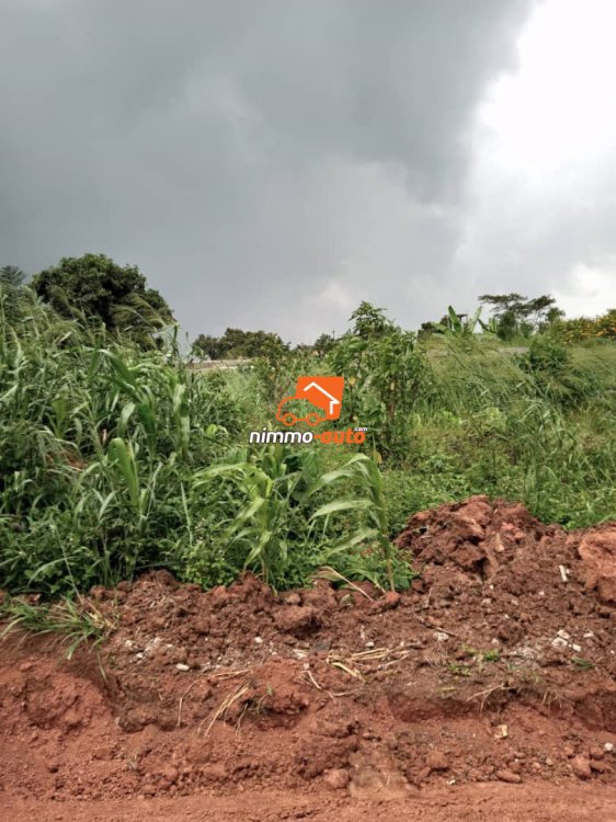 Terrain à vendre à odza fecafoot