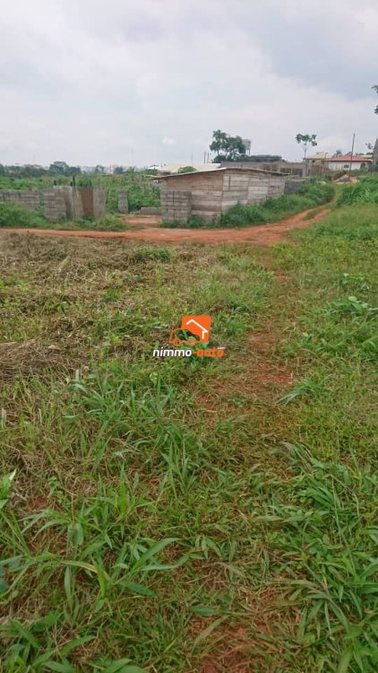 Terrain à vendre à Odza borne 12 bon prix
