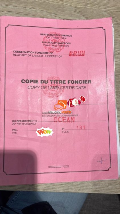 Terrain commercial à vendre à Kribi