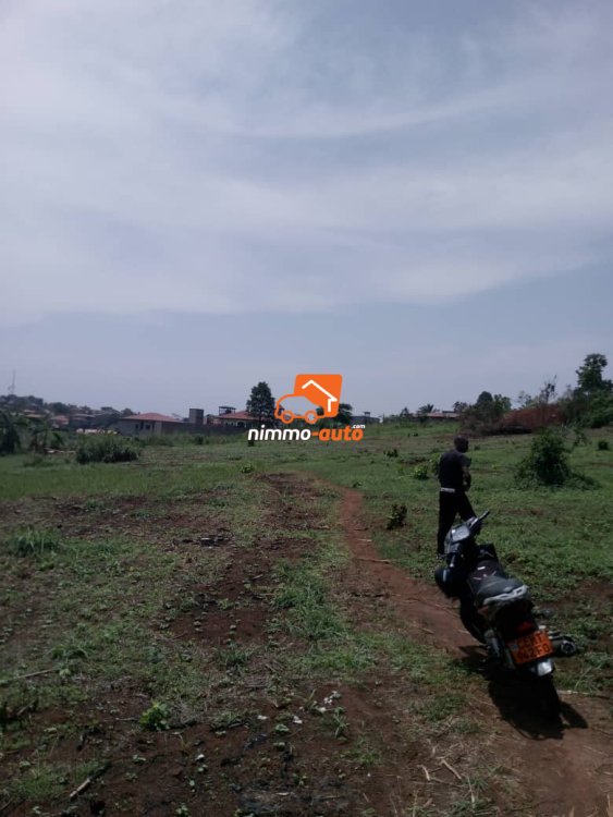 Terrain à vendre à Odza borne 10