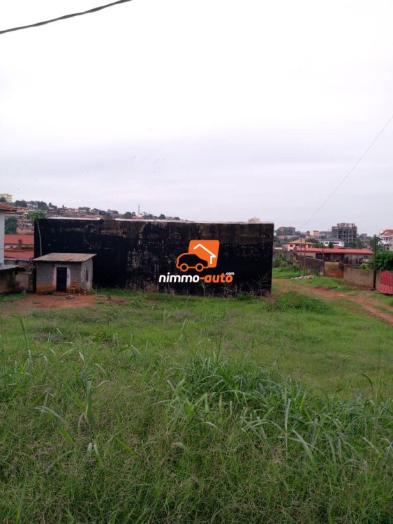 Terrain titré à vendre à omnisports