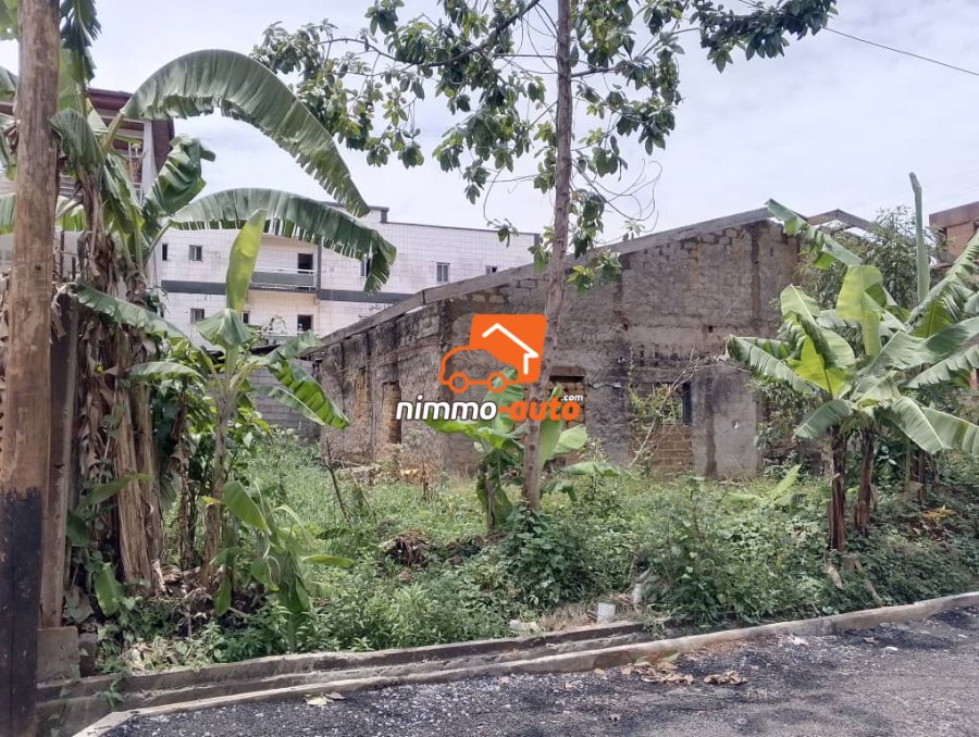 Terrain titré à vendre à omnisports