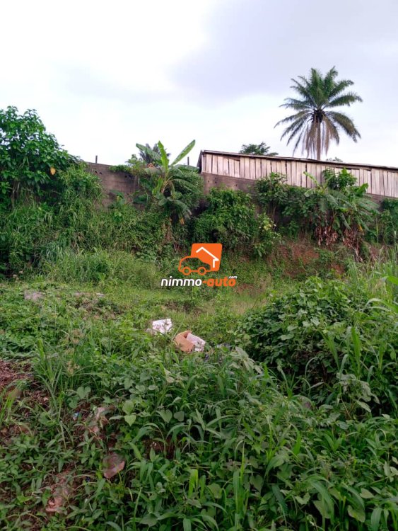 Terrain titré à vendre à omnisports