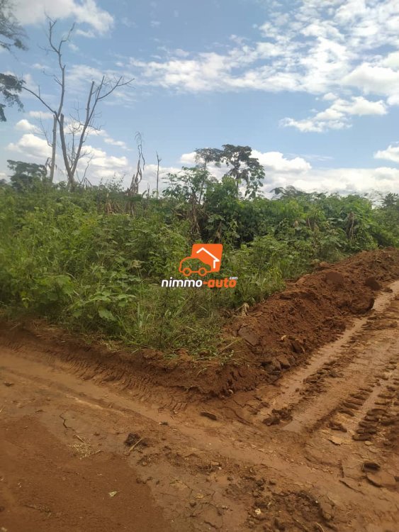 Terrain à vendre à Nsimalen