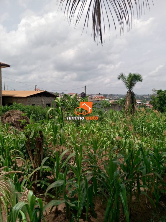 Terrain magnifiquement situé à Odza borne 12 en vente