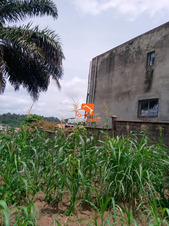 Terrain magnifiquement situé à Odza borne 12 en vente