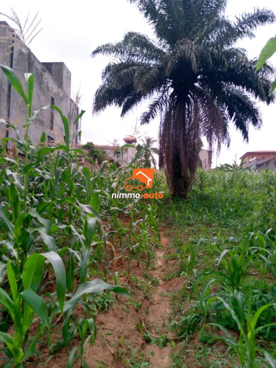 Terrain magnifiquement situé à Odza borne 12 en vente