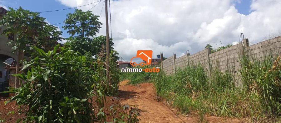 Terrain titré et d'habitation à vendre à Tsinga village