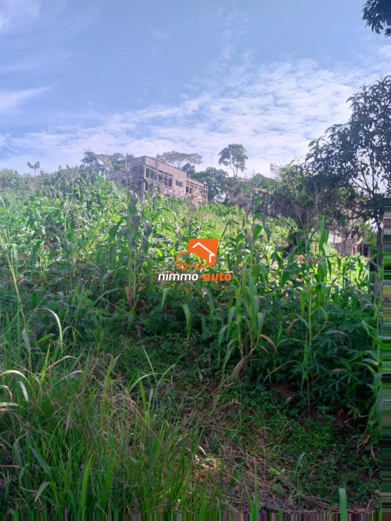 Terrain titré à vendre à Odza plaque LNB