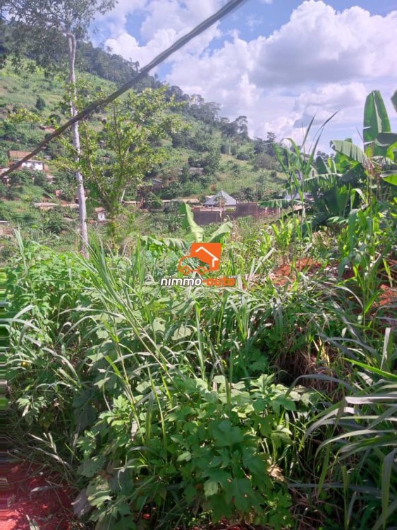 Terrain titré à vendre à Odza plaque LNB