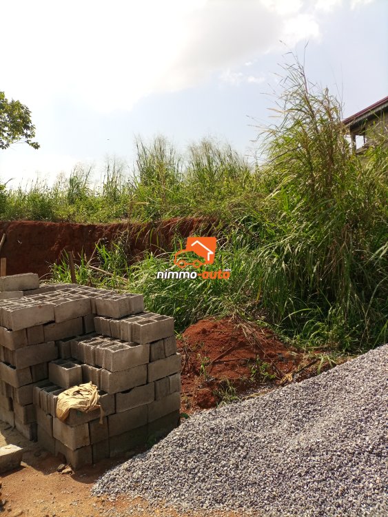 Terrain à vendre Nkolbisson