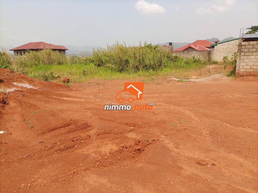 Terrain à vendre Nkolbisson