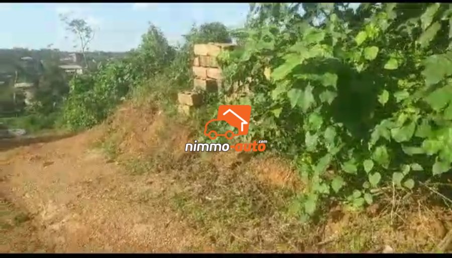 Terrain titré à vendre à olembe