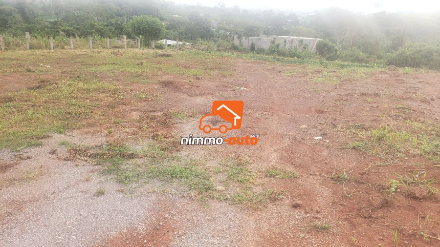 Terrain à vendre à Tsinga Village