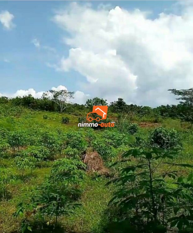 Terrain a vendre pk 27entrée Guinness